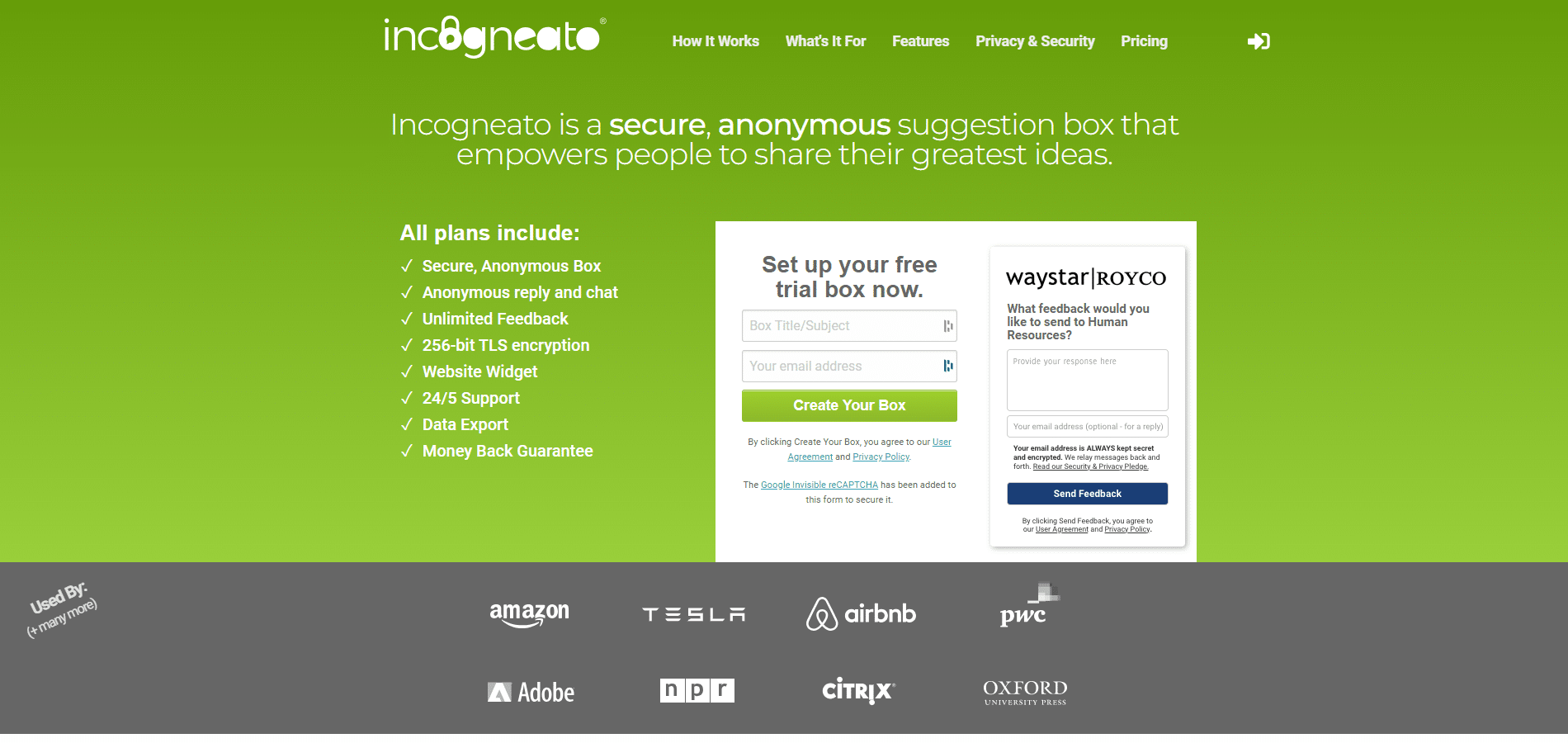 anonymous feedback incognea
